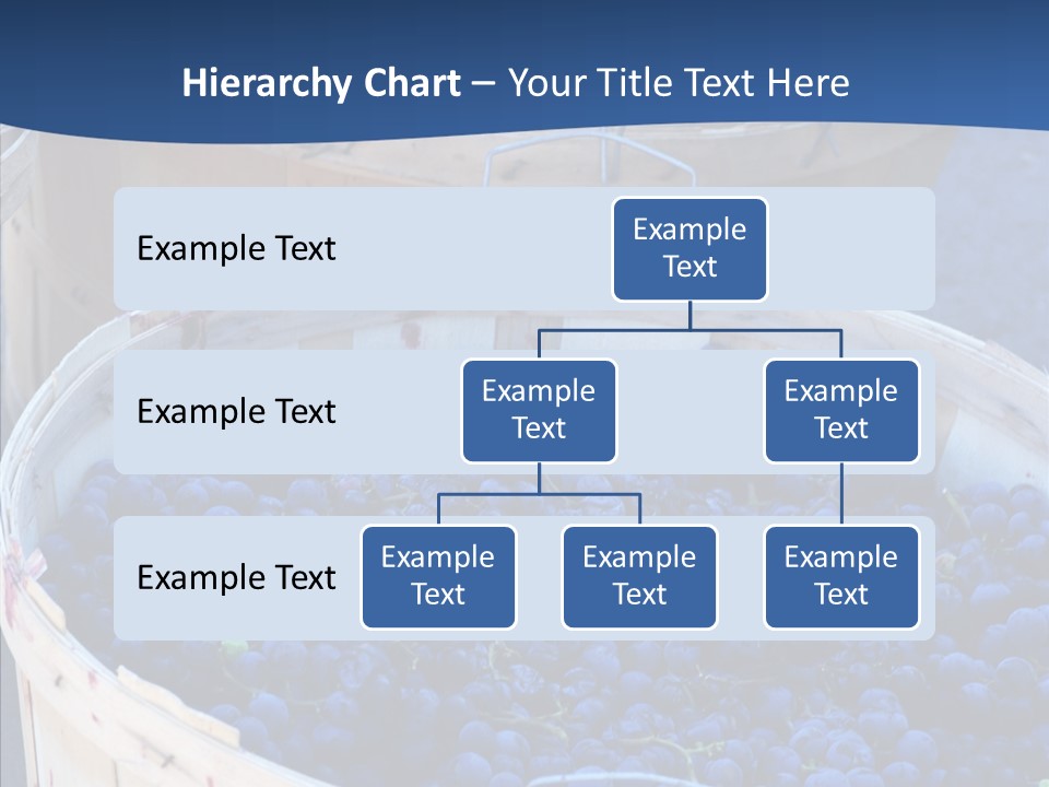 Exhibit Announcement Commercial PowerPoint Template