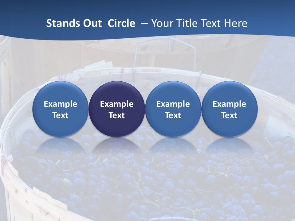 Exhibit Announcement Commercial PowerPoint Template