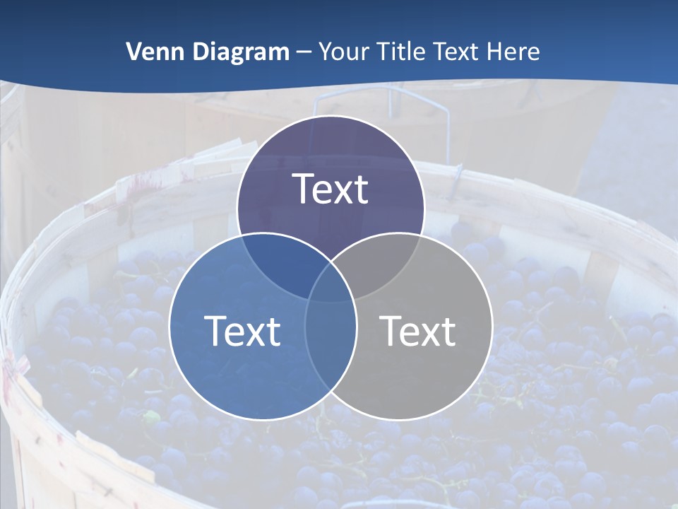 Exhibit Announcement Commercial PowerPoint Template