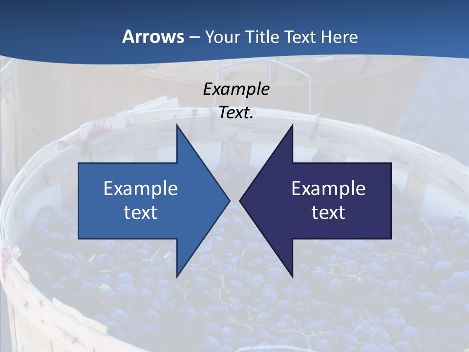 Exhibit Announcement Commercial PowerPoint Template
