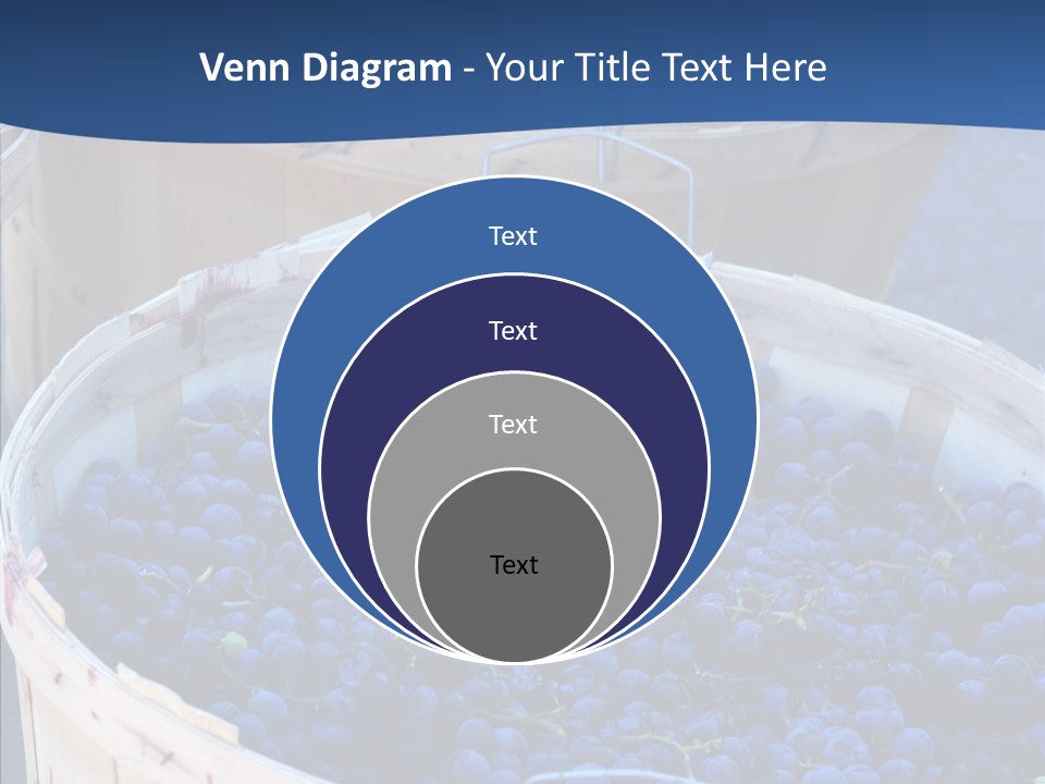 Exhibit Announcement Commercial PowerPoint Template