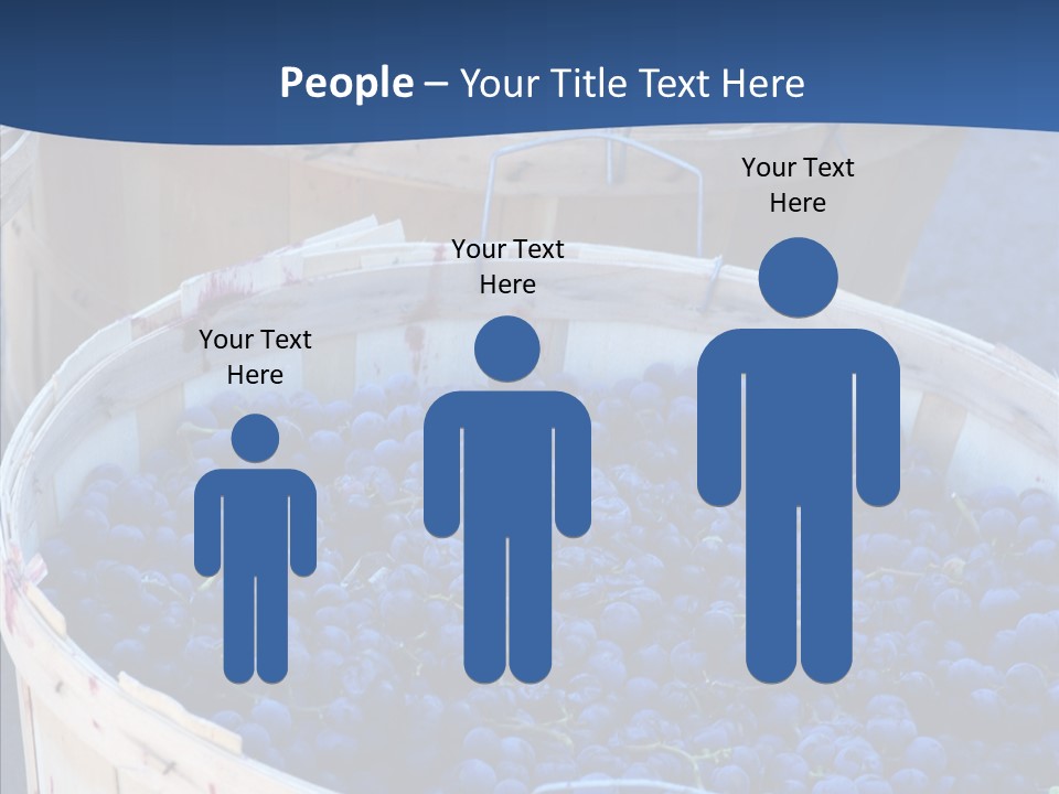 Exhibit Announcement Commercial PowerPoint Template