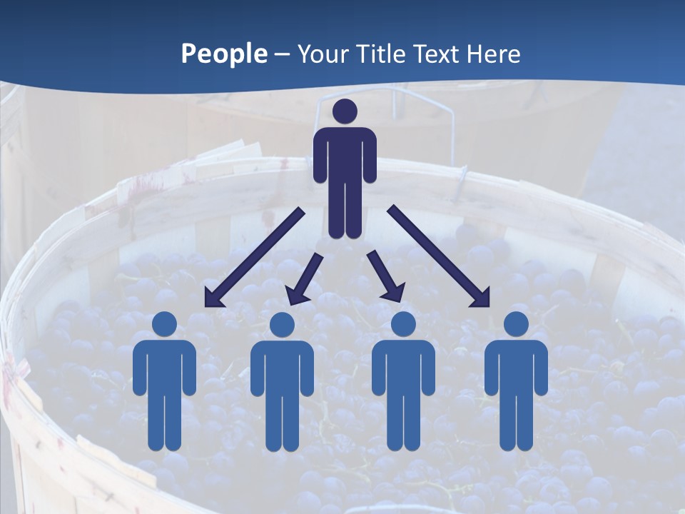 Exhibit Announcement Commercial PowerPoint Template