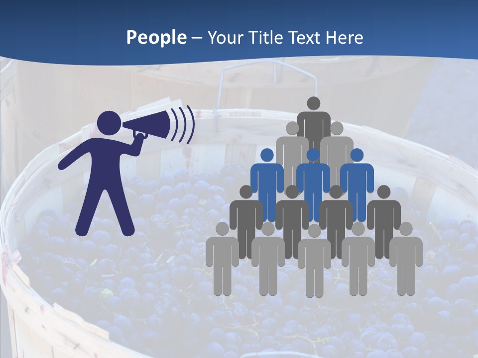 Exhibit Announcement Commercial PowerPoint Template