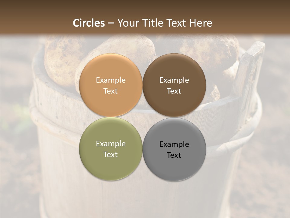 Vegetable Potato Harvesting PowerPoint Template