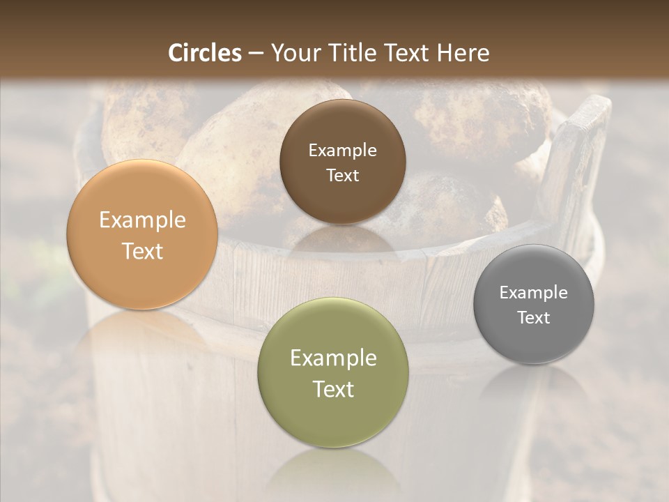 Vegetable Potato Harvesting PowerPoint Template