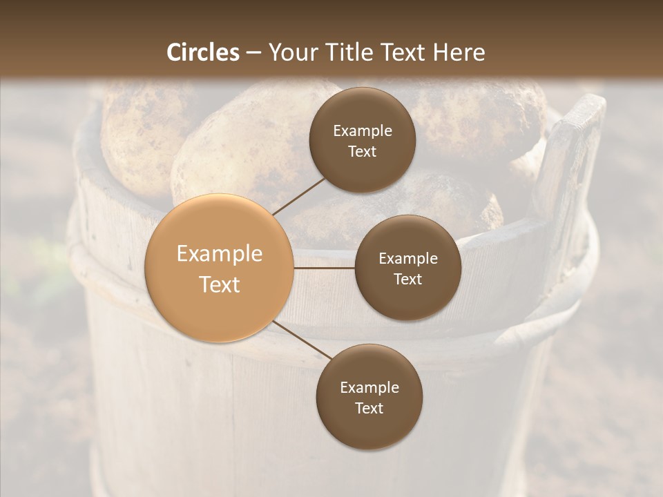 Vegetable Potato Harvesting PowerPoint Template