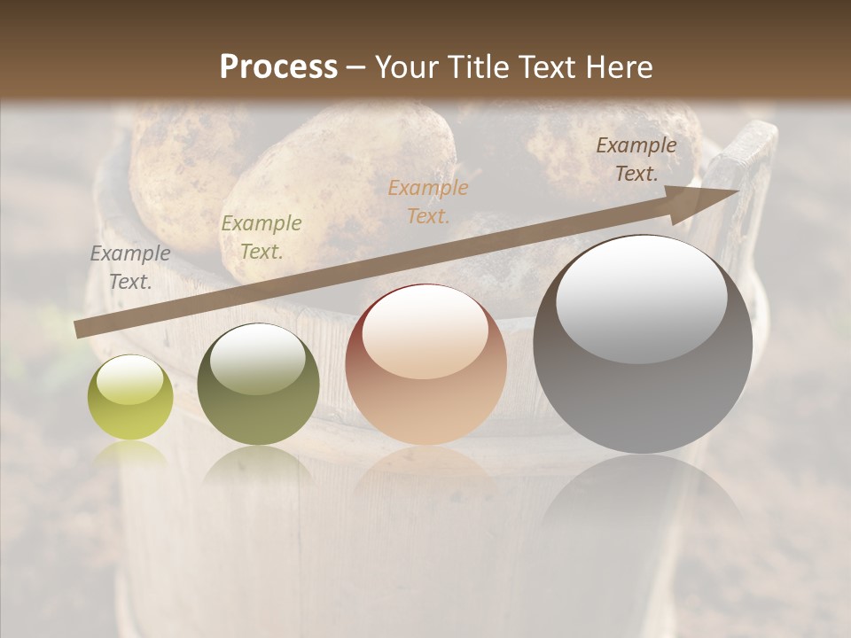 Vegetable Potato Harvesting PowerPoint Template