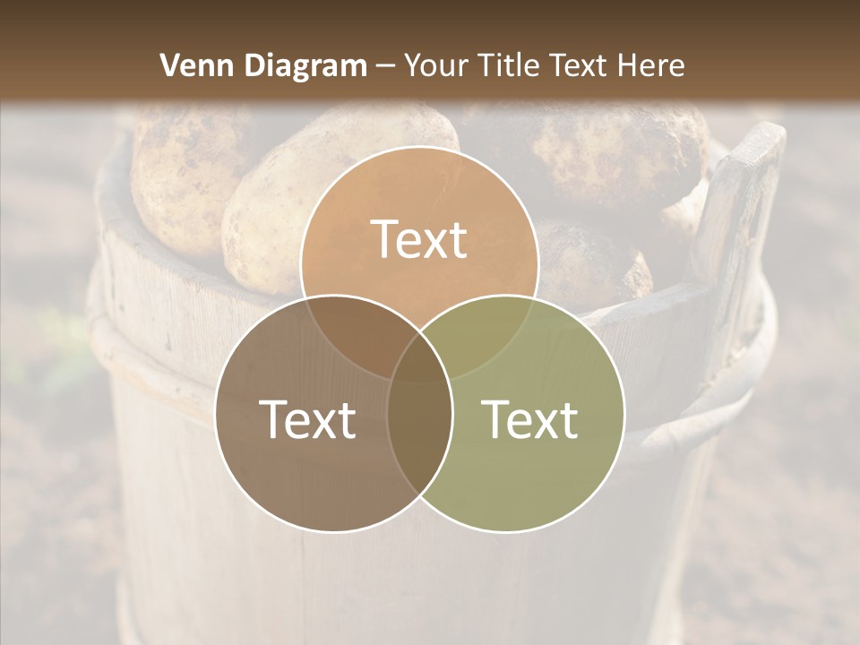 Vegetable Potato Harvesting PowerPoint Template