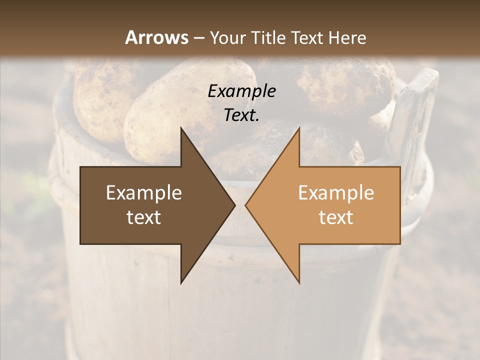Vegetable Potato Harvesting PowerPoint Template