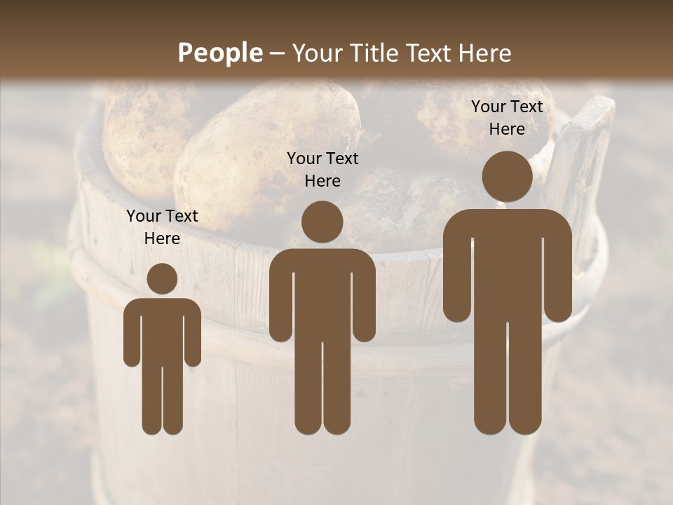 Vegetable Potato Harvesting PowerPoint Template