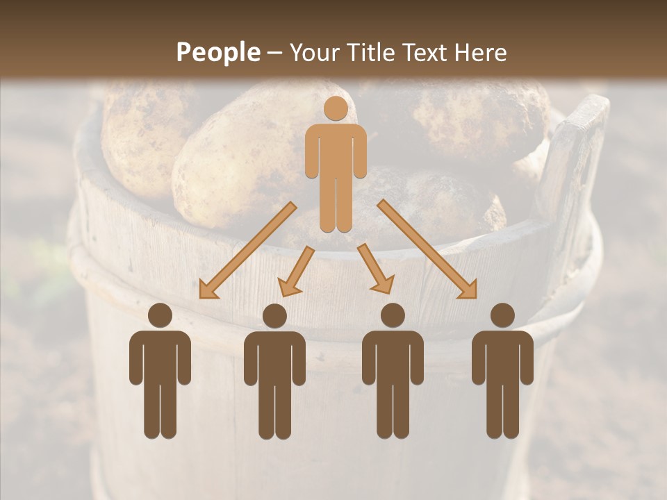 Vegetable Potato Harvesting PowerPoint Template