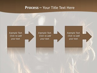Hairstyle Portrait Fashion PowerPoint Template