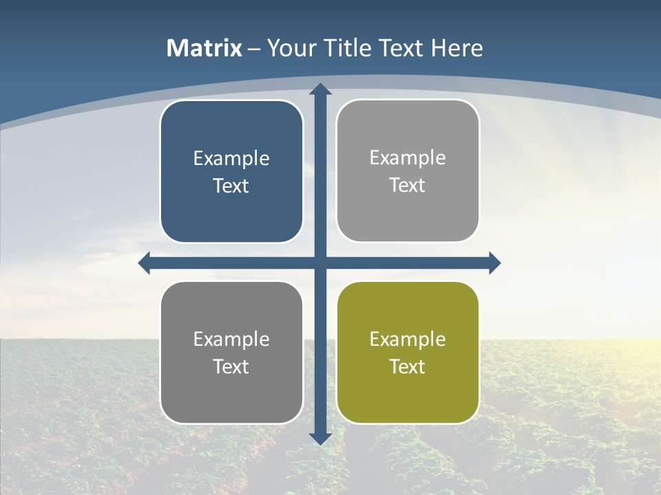 View Vegetable Culture PowerPoint Template