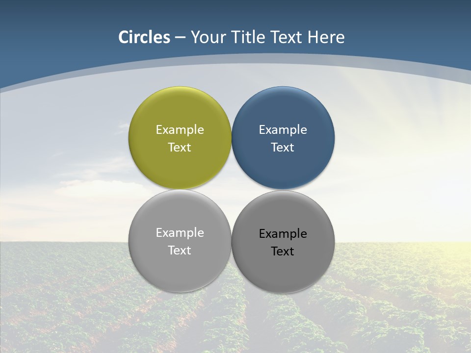 View Vegetable Culture PowerPoint Template