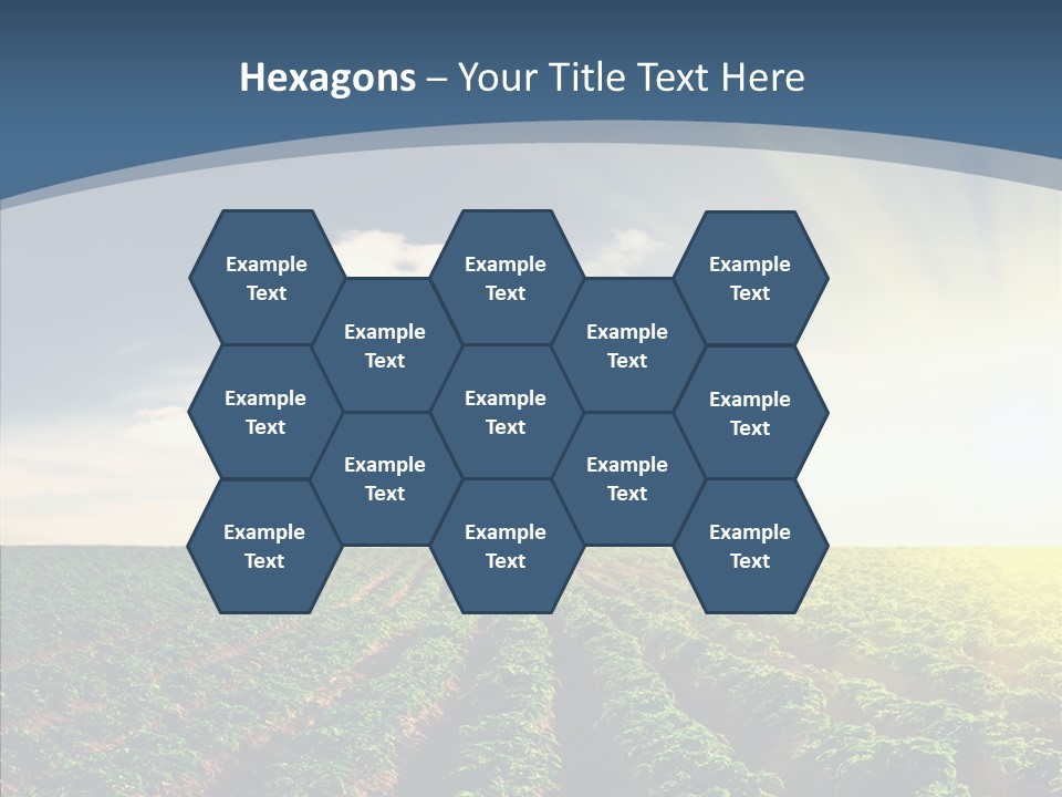 View Vegetable Culture PowerPoint Template