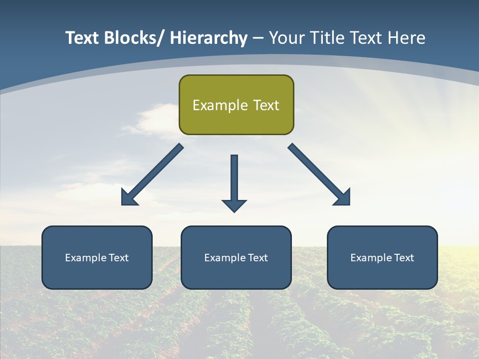 View Vegetable Culture PowerPoint Template