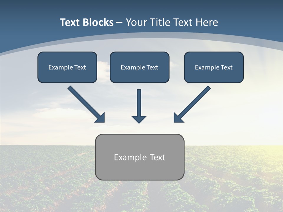View Vegetable Culture PowerPoint Template