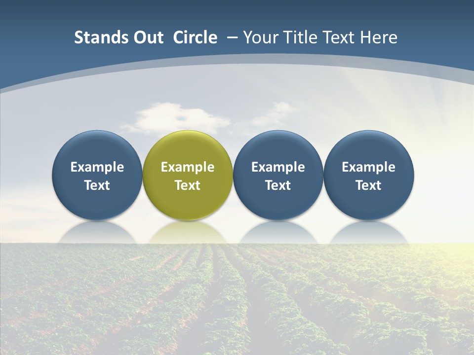 View Vegetable Culture PowerPoint Template