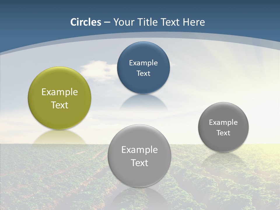 View Vegetable Culture PowerPoint Template