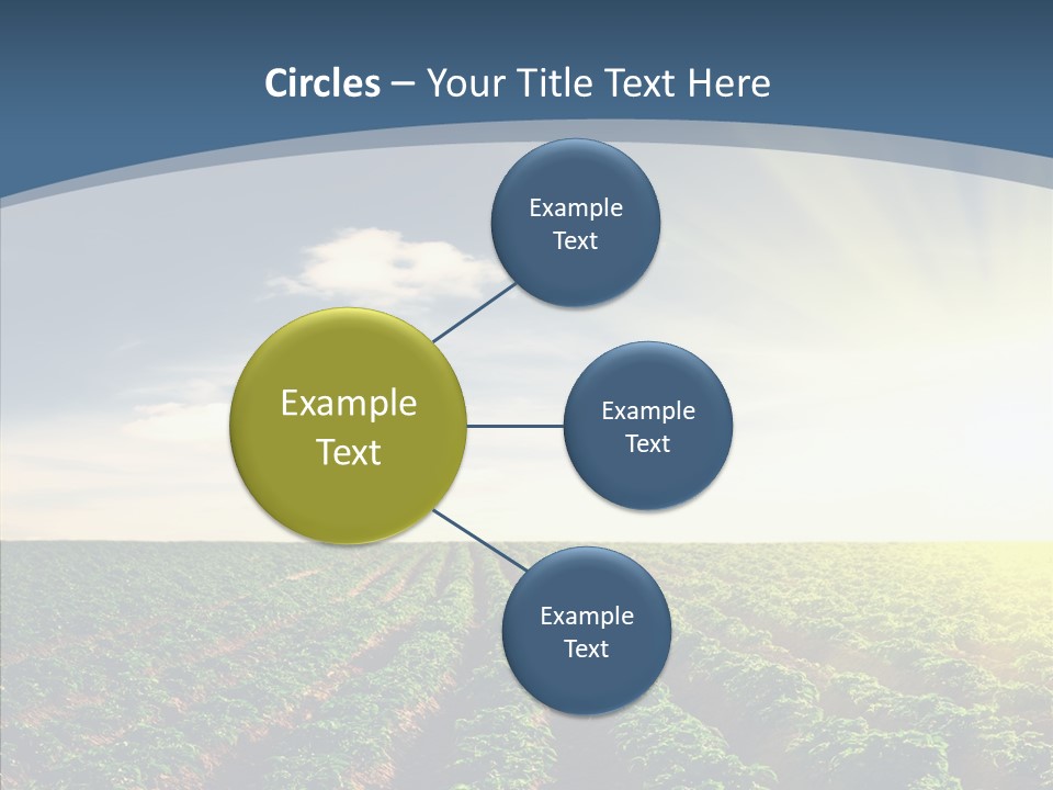 View Vegetable Culture PowerPoint Template