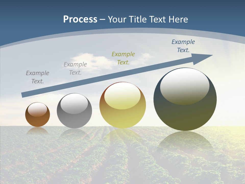 View Vegetable Culture PowerPoint Template
