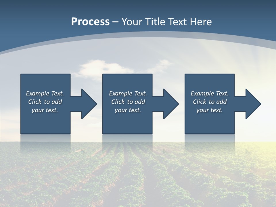 View Vegetable Culture PowerPoint Template