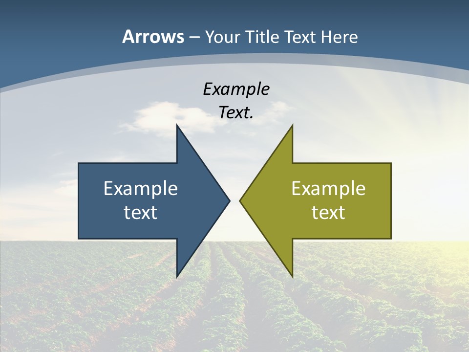View Vegetable Culture PowerPoint Template