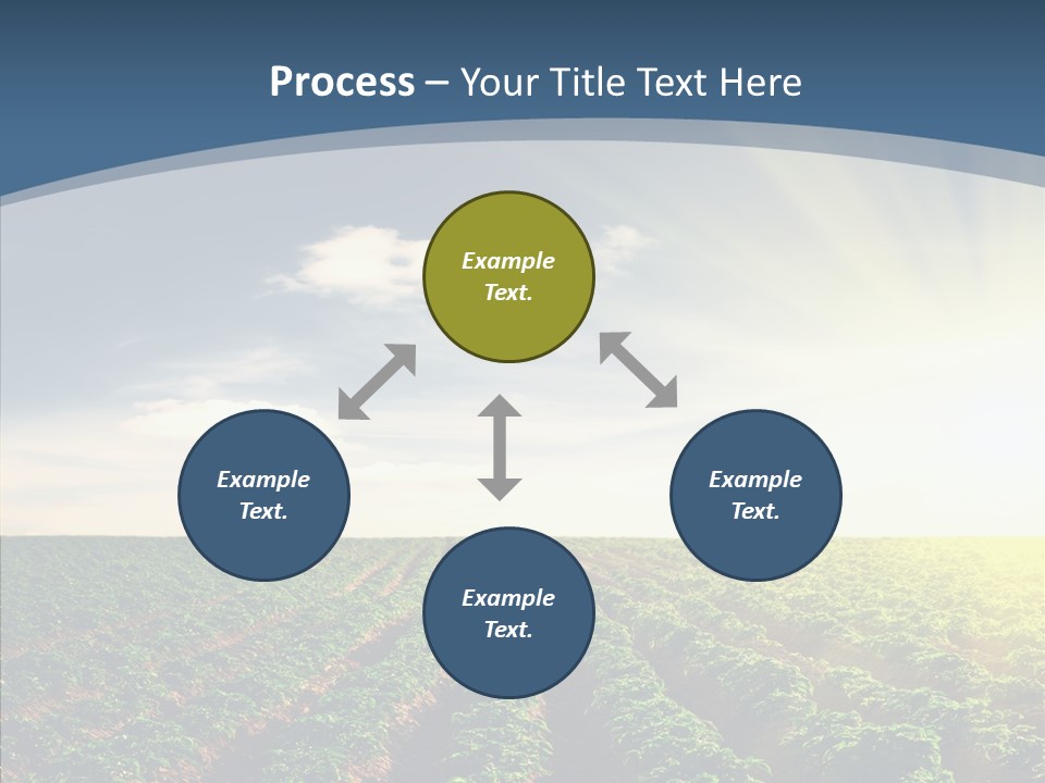 View Vegetable Culture PowerPoint Template