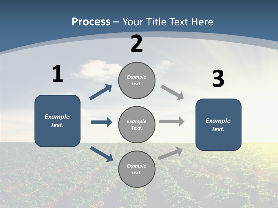 View Vegetable Culture PowerPoint Template