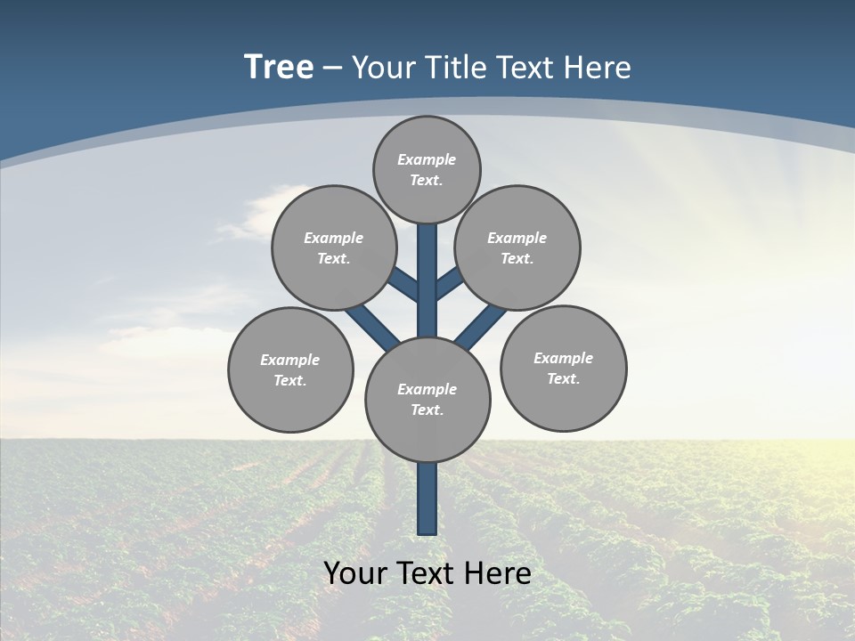 View Vegetable Culture PowerPoint Template