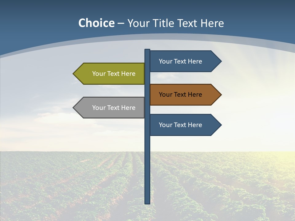View Vegetable Culture PowerPoint Template