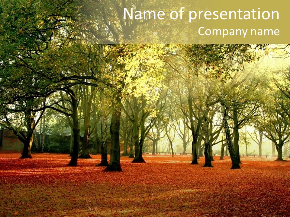 Orange Magnificent Display PowerPoint Template