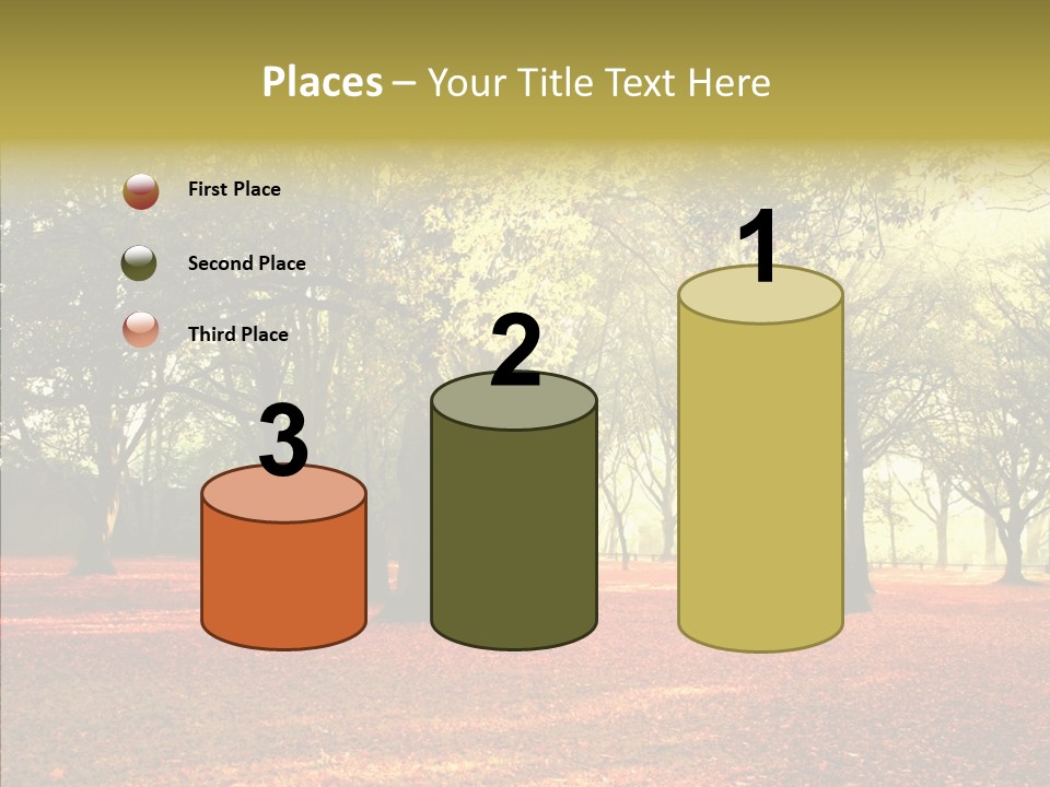 Orange Magnificent Display PowerPoint Template