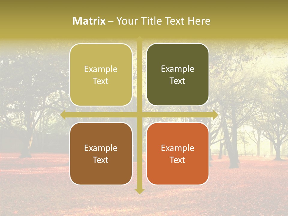 Orange Magnificent Display PowerPoint Template