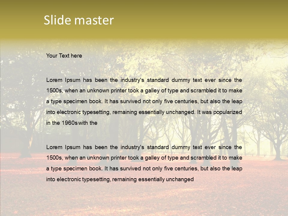 Orange Magnificent Display PowerPoint Template