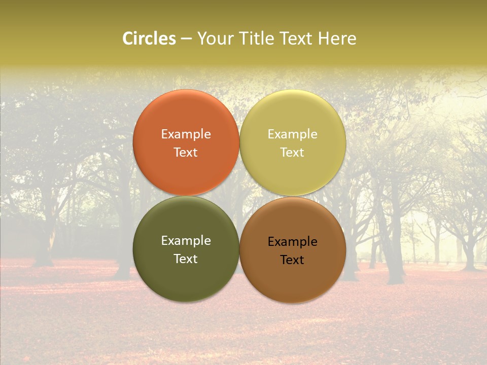 Orange Magnificent Display PowerPoint Template