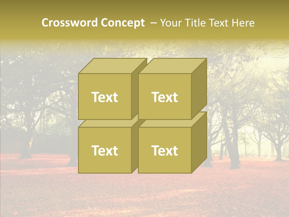 Orange Magnificent Display PowerPoint Template