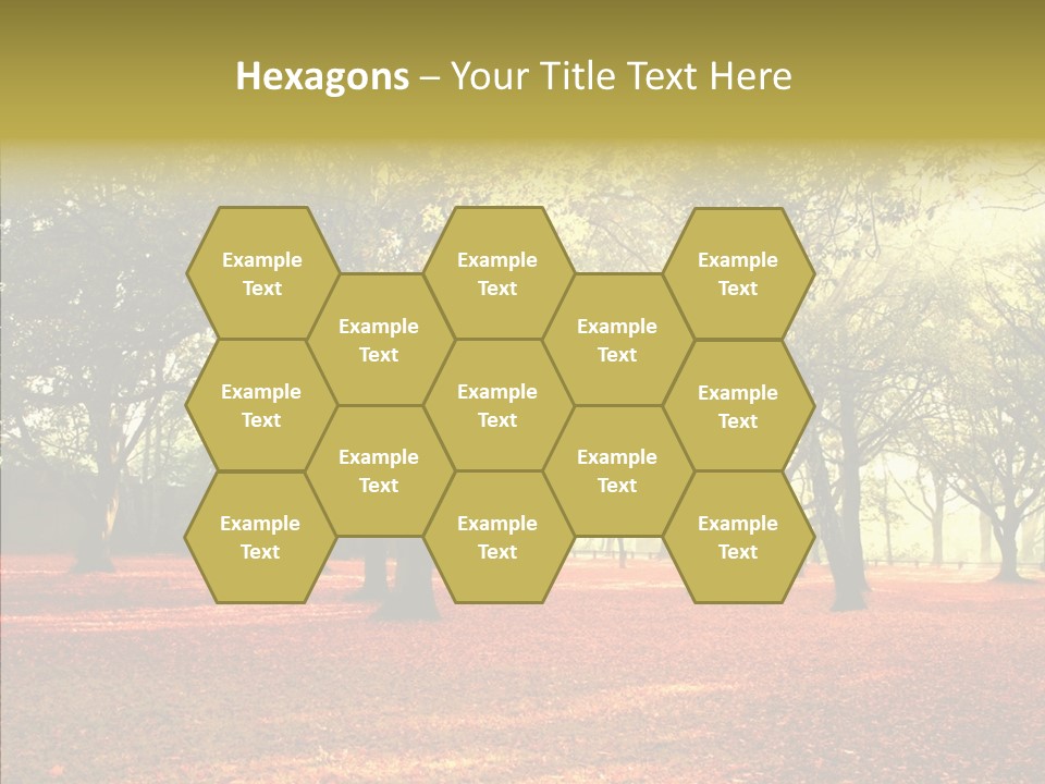 Orange Magnificent Display PowerPoint Template