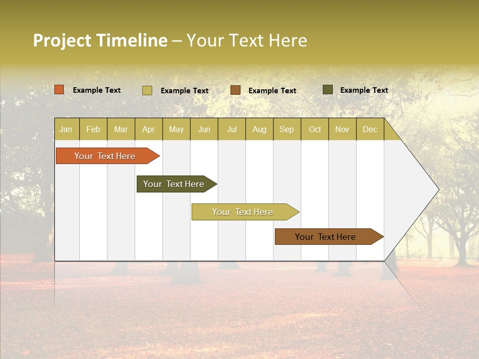 Orange Magnificent Display PowerPoint Template