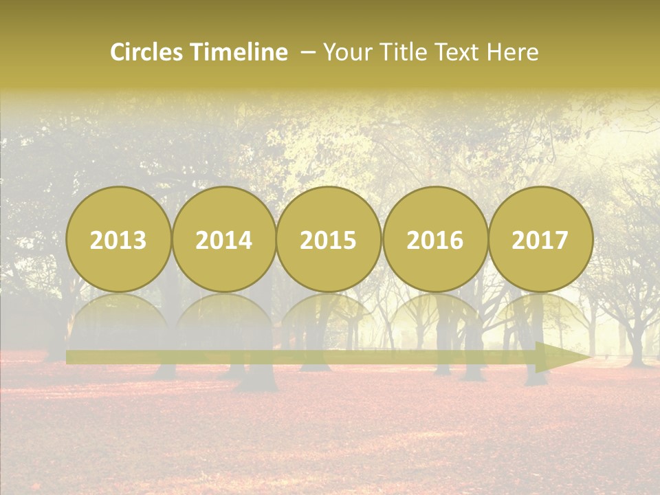 Orange Magnificent Display PowerPoint Template