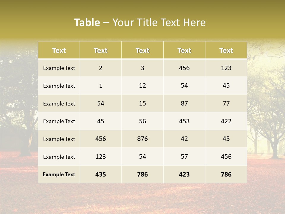 Orange Magnificent Display PowerPoint Template