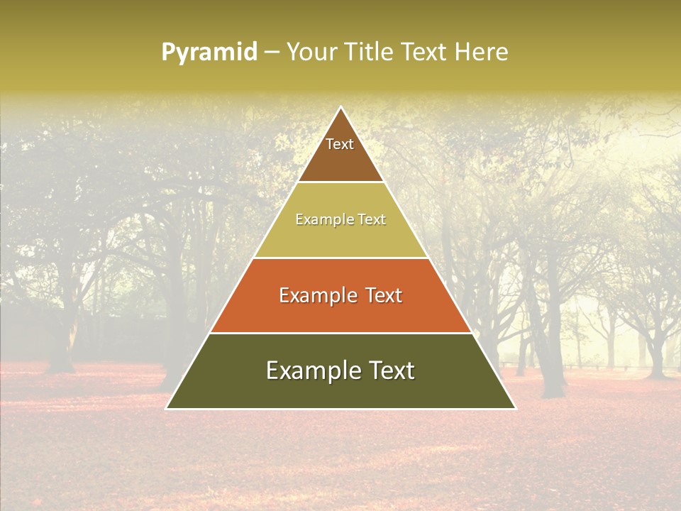 Orange Magnificent Display PowerPoint Template
