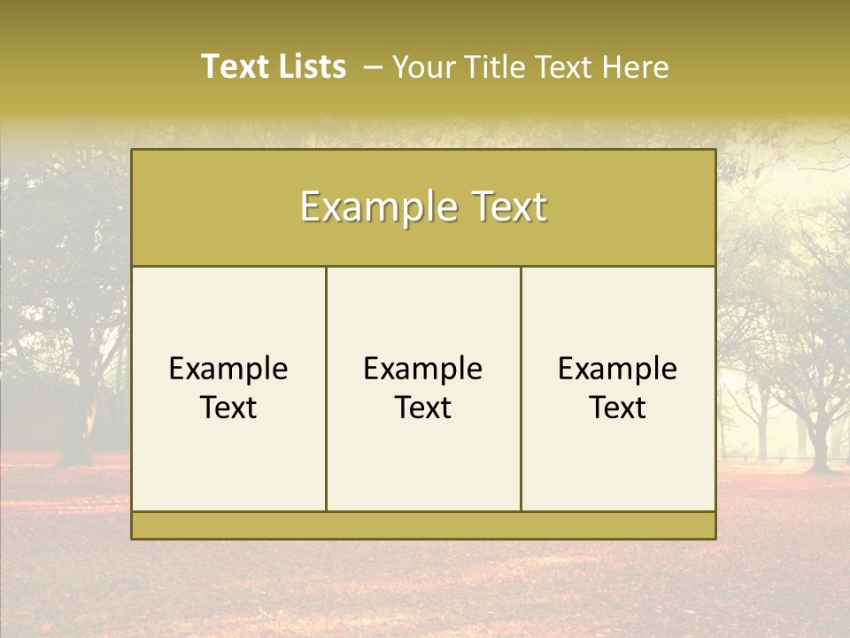 Orange Magnificent Display PowerPoint Template