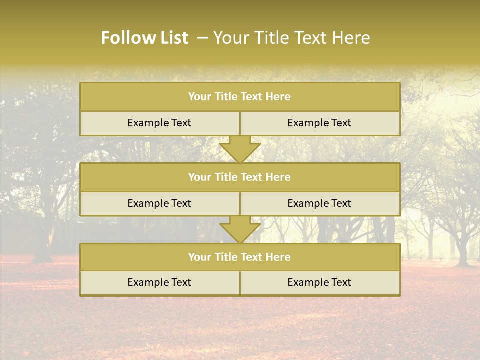 Orange Magnificent Display PowerPoint Template