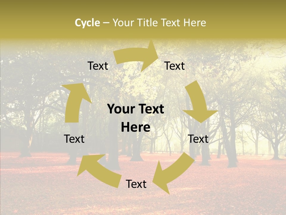 Orange Magnificent Display PowerPoint Template