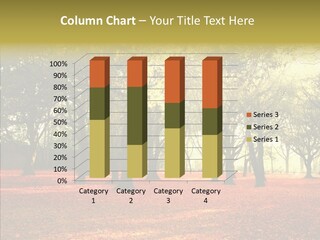 Orange Magnificent Display PowerPoint Template