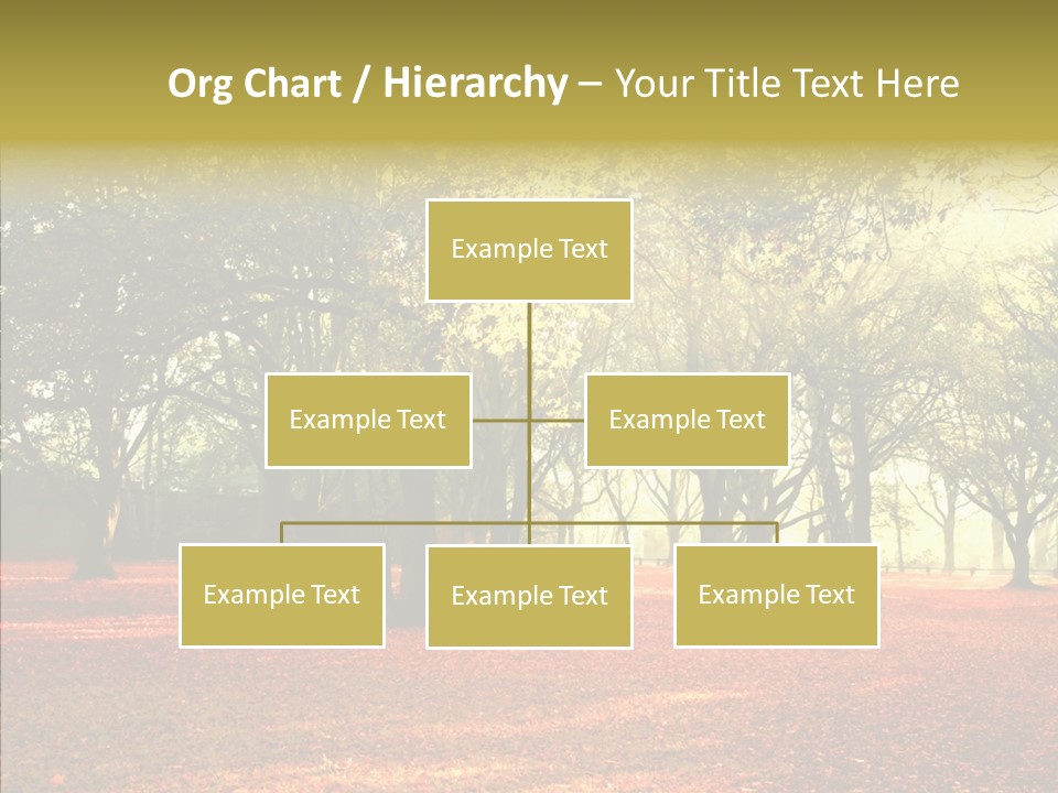 Orange Magnificent Display PowerPoint Template