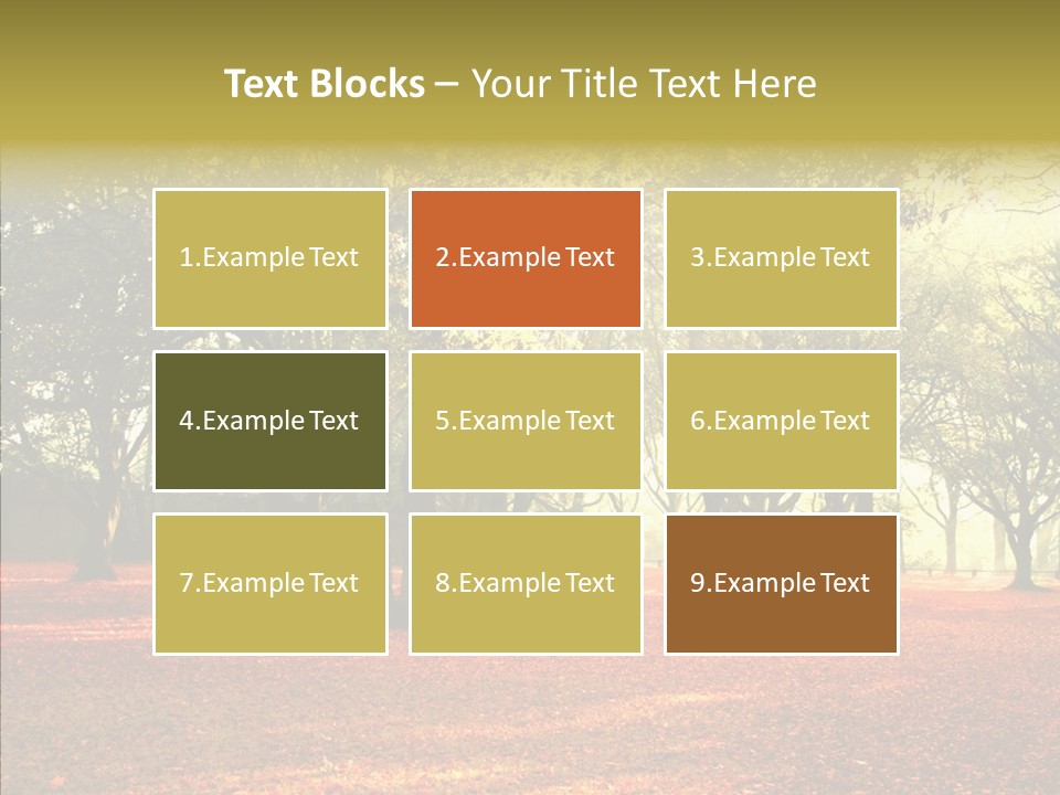 Orange Magnificent Display PowerPoint Template