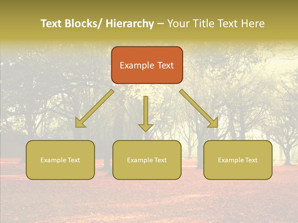 Orange Magnificent Display PowerPoint Template